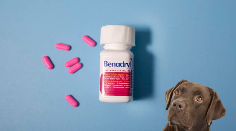 how much benadryl to give a 50 lb dog